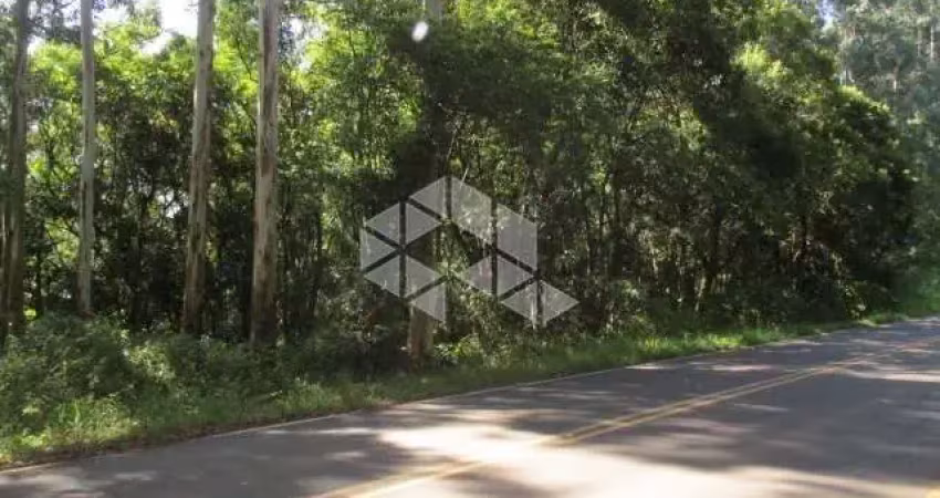 Chácara no munícipio de linha nova na serra gaúcha.