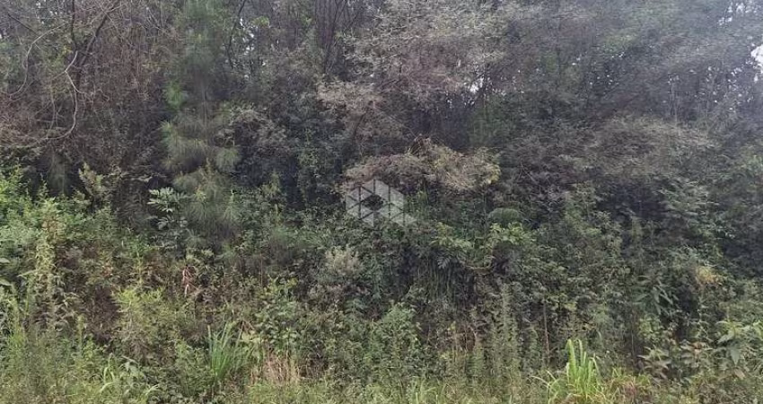 Terreno com 367,44 m2 na serra gaúcha a venda por R$ 238.500,00