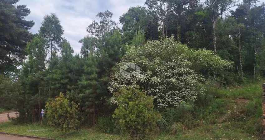Terreno com 386,24 m2 na serra gaúcha a venda por R$ 271.360,00.