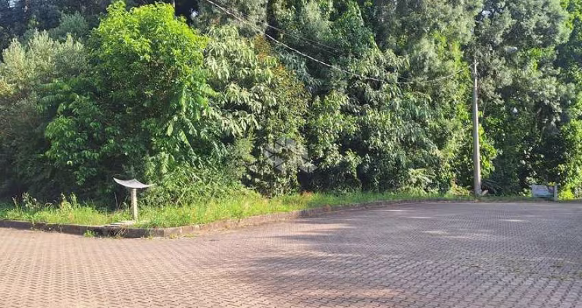 Terreno com 508,70 m2 em área nobre na serra gaúcha por  R$ 583.000,00
