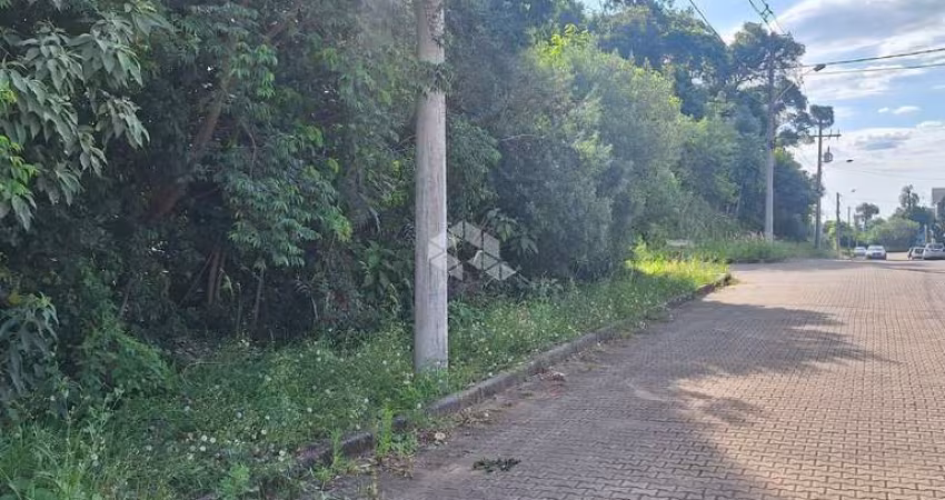 Terreno com 517,04 m2 em área nobre na serra gaúcha por  R$ 540.600,00