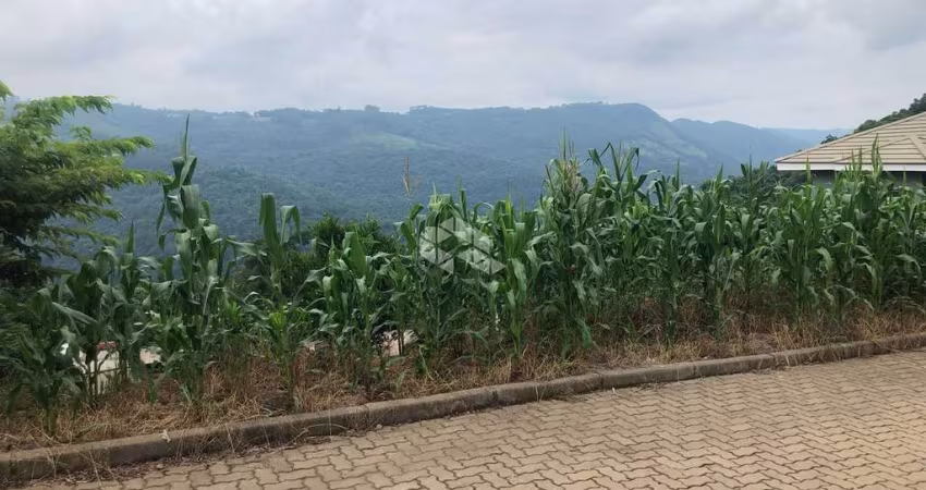 Terreno no Bairro Bavária em Nova Petrópolis com vista panorâmica