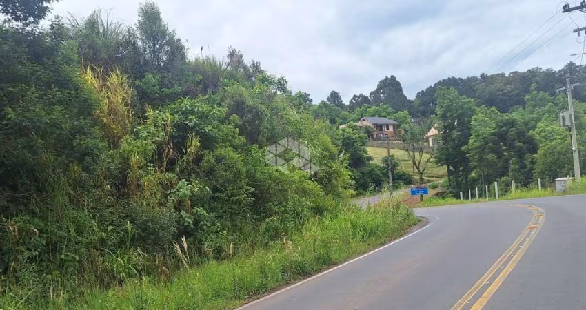 Área de terras com 9.800,00 m2 na serra gaúcha por R$ 901.000,00