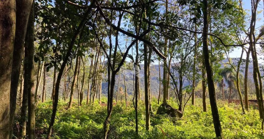 Área de terras com 23.191,73 m2 em constante valorização na serra gaúcha