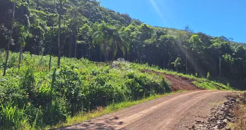 Área de terras com 23.191,73 m2 em constante valorização na serra gaúcha