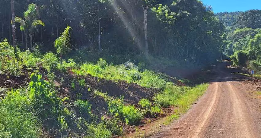 Área de terras com 23.191,73 m2 em constante valorização na serra gaúcha