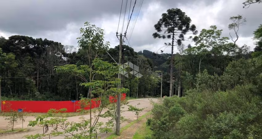 Terrenos no Loteamento Bosque das Araucárias na Linha Imperial
