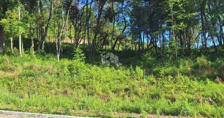 Terreno com 426,60 m2 em área arborizada na serra gaúcha