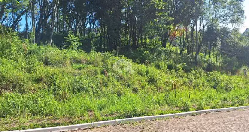 Terreno com 426,60 m2 em área arborizada na serra gaúcha