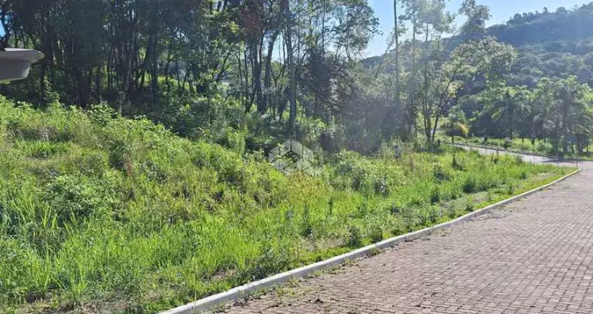 Terreno à venda na Interbairros, 52, Linha Imperial, Nova Petrópolis