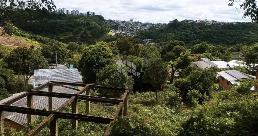 Terreno com vista