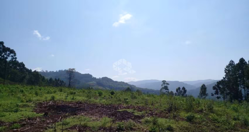 Chacara em Pinhal Alto Nova Petrpolis