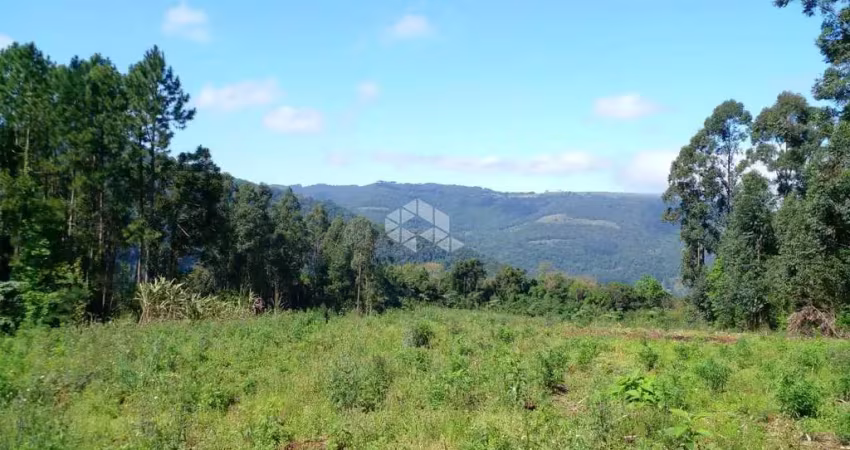 Chácara / sítio à venda na Vicente Prieto, 10760, Pinhal Alto, Nova Petrópolis
