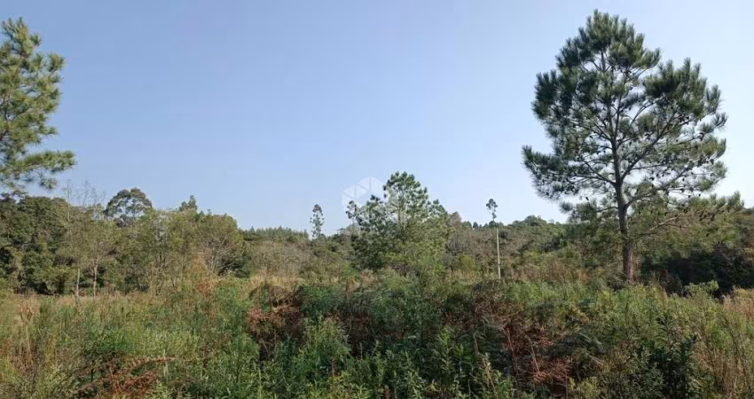 Área de Terras com 48.946,99 m² à Venda  por  R$ 330.000,00