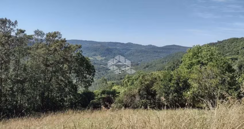 Sítio com 41.584,40 m² e Vista Panorâmica no Alto de Picada Café - Serra Gaúcha