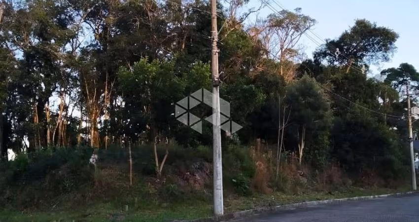 Terreno de esquina em Nova Petrópolis/Serra Gaúcha