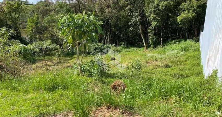 Terreno em bairro tranquilo