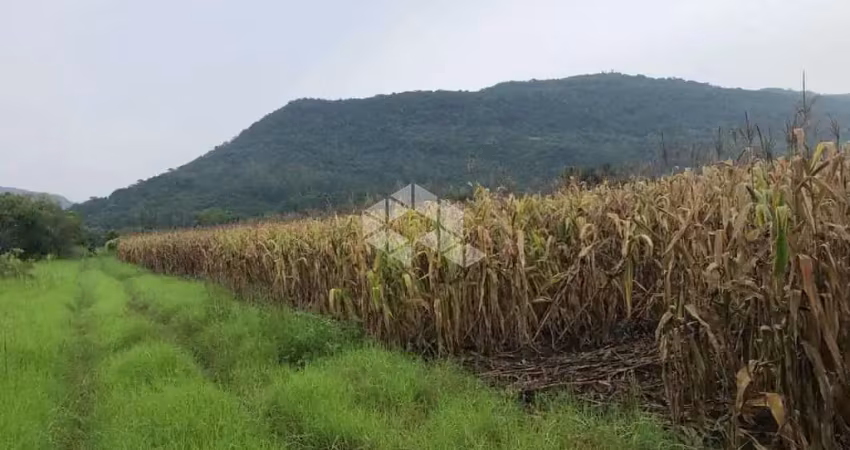 Chácara / sítio à venda na não informado, 358, Linha Temerária, Nova Petrópolis