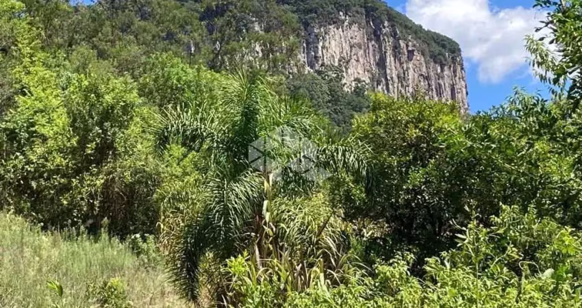 Chácara / sítio à venda na Linha Brasil / Riachuelo, 1, Linha Brasil, Nova Petrópolis