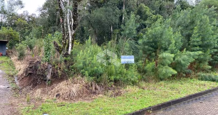Terreno em bairro tranquilo com infraestrutura