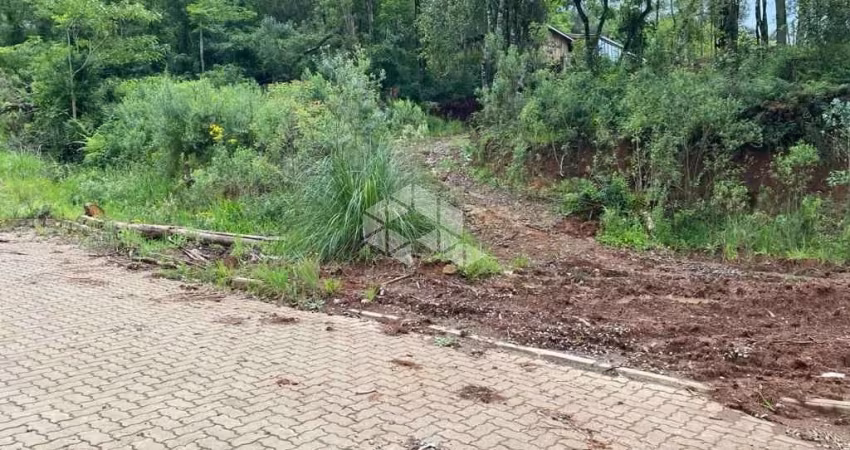 Terreno amplo