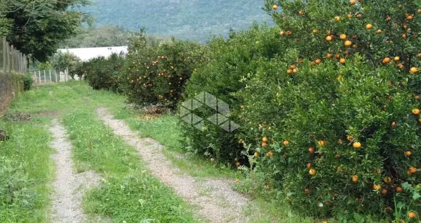 Terreno à venda na RS 452, 100, Vila Cristina, Caxias do Sul