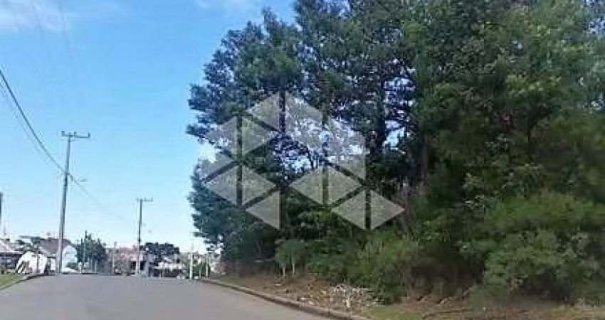 Terrenos na Linha Imperial
