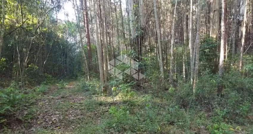 Chácara / sítio à venda na RS 235, 19, Linha Araripe, Nova Petrópolis