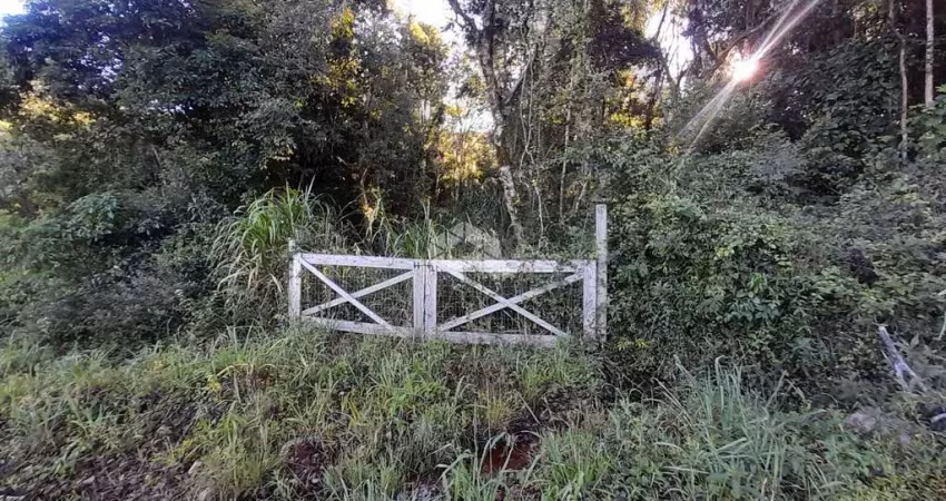 Chácara / sítio à venda na Ninho das Águias, 941, Linha Temerária, Nova Petrópolis