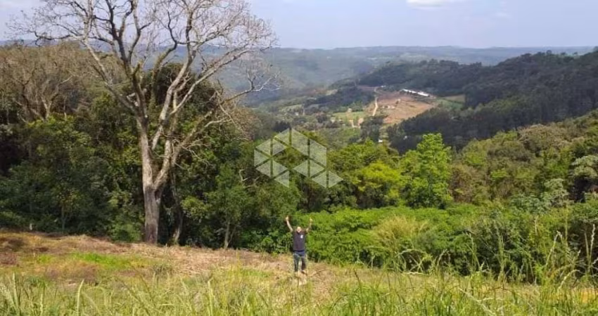 Terreno em Pinhal Alto