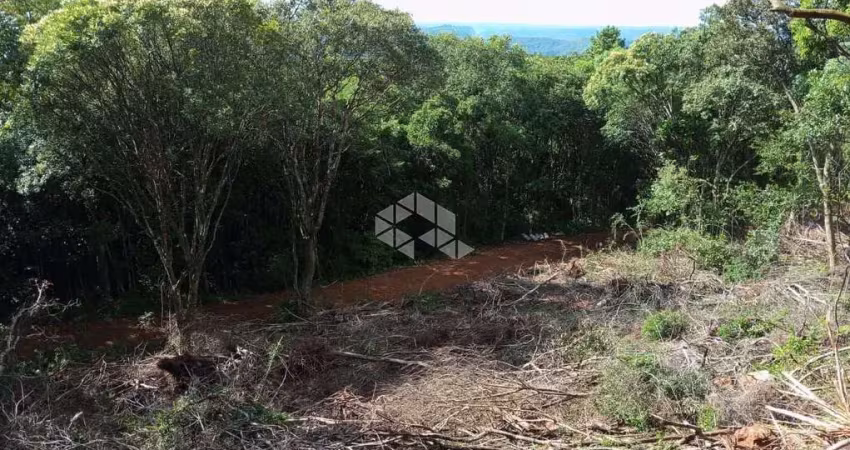 Chácara / sítio à venda na Antonio Schoeller, 10, Linha Imperial, Nova Petrópolis