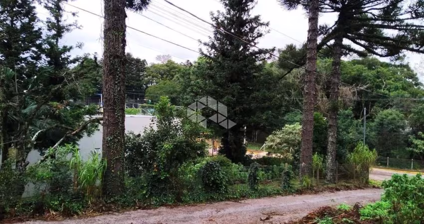Terreno noo centro de Nova Petrópolis na Serra Gaúcha