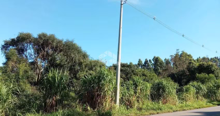 Chácara / sítio à venda na Linha Olinda até Linha Nova, 2, Zona Rural, Linha Nova