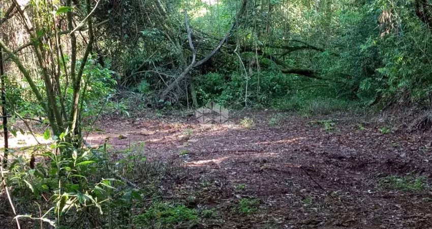 Chácara / sítio à venda na Linha Olinda até Linha Nova, 2, Zona Rural, Linha Nova