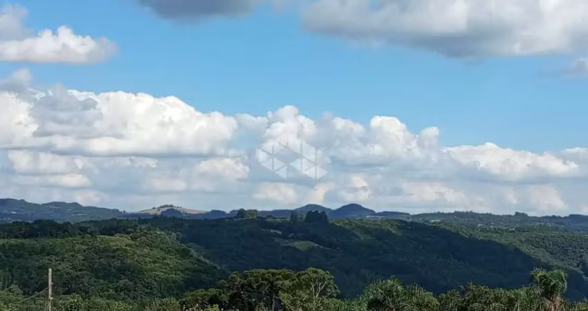 Chácara / sítio à venda na Nove Colônias, 1, Zona Rural, Nova Petrópolis