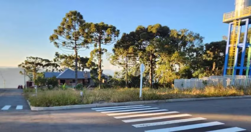 Terreno à venda na Jardim Europa, 1, Vila Olinda, Nova Petrópolis
