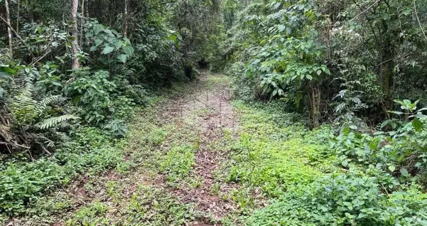 Chácara / sítio à venda na Linha Olinda, 10, Vila Olinda, Nova Petrópolis
