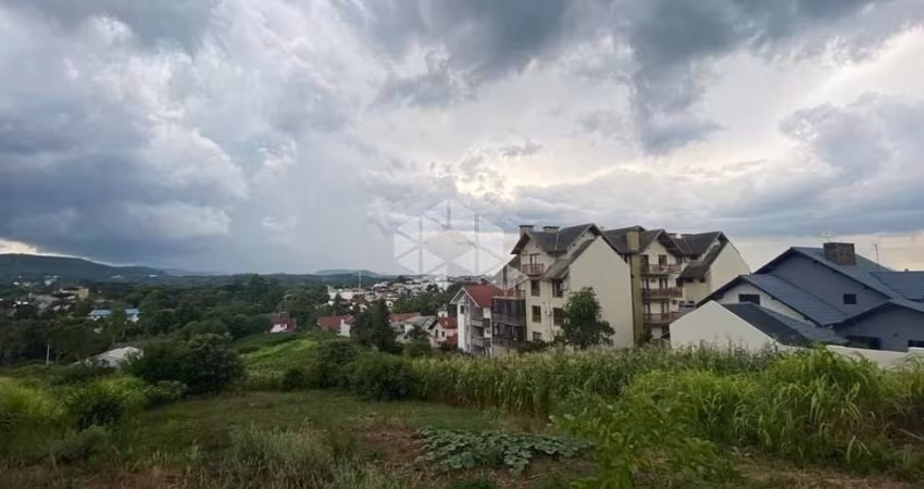 Amplo Terreno  no com Vista