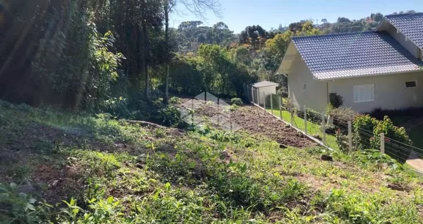 Terreno no Centro de Nova Petrópolis RS