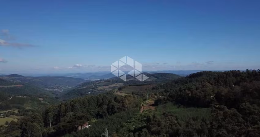 Belíssima área de 2,3 ha a 800m do asfalto e a 11 km do centro de Nova Petrópolis.