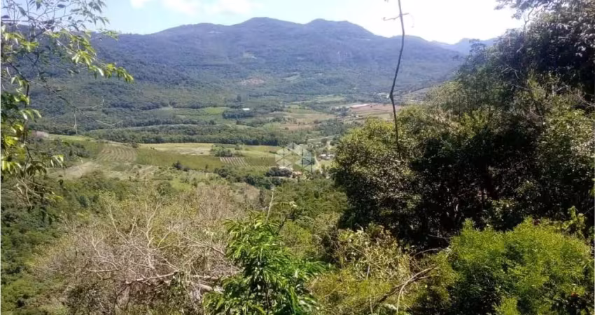 Chácara / sítio à venda na Linha Pirajá Alta, 10, Zona Rural, Nova Petrópolis