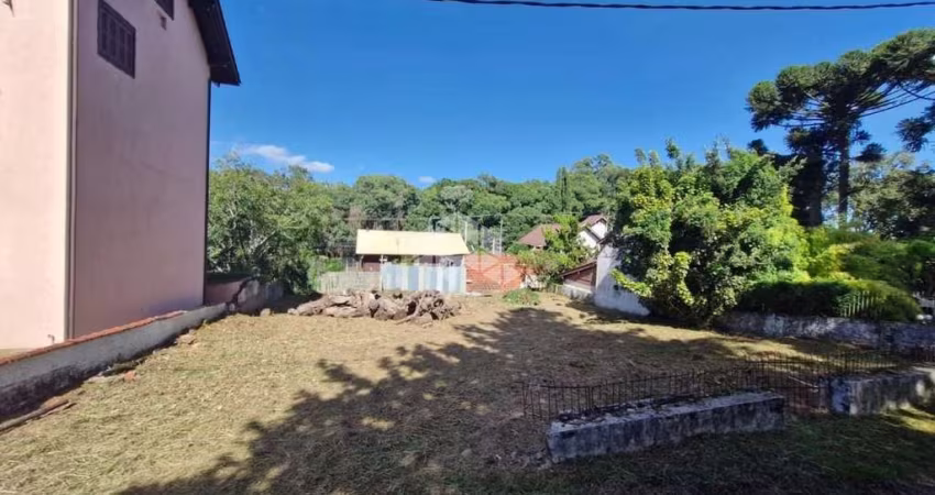 Terreno central