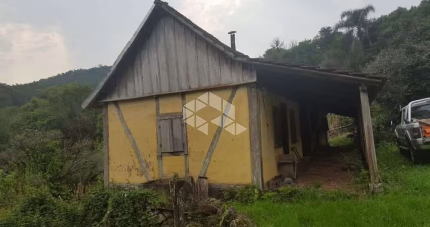 Sitio em Linha Olinda