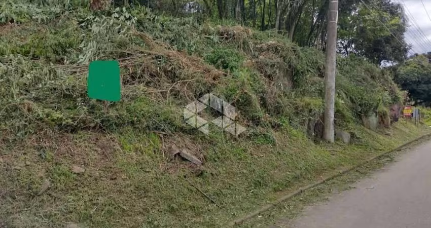 Excelentes  terrenos com vista