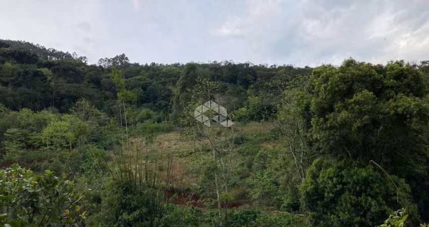 Chácara com ótima localização.