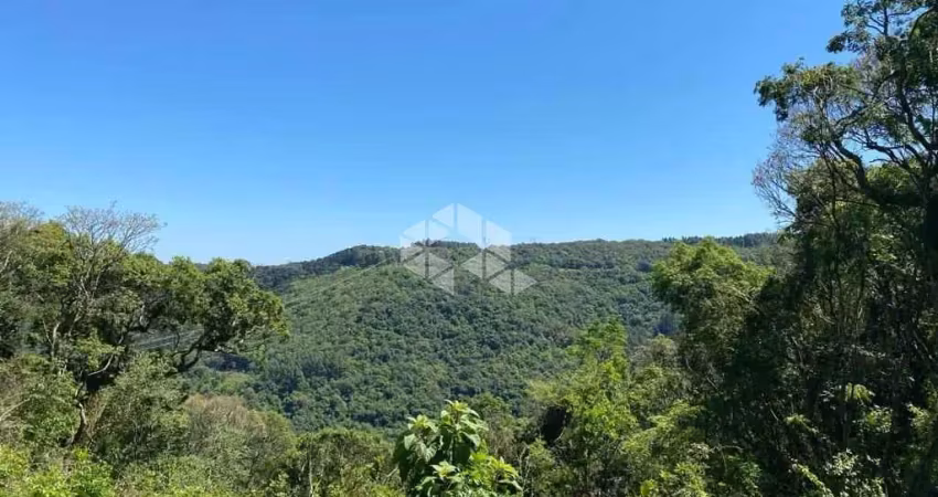Chácara / sítio à venda na 13 colonias, 2000, Zona Rural, Nova Petrópolis