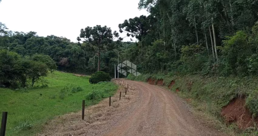 Chácara / sítio à venda na Nicolau Weber, 1, Pinhal Alto, Nova Petrópolis