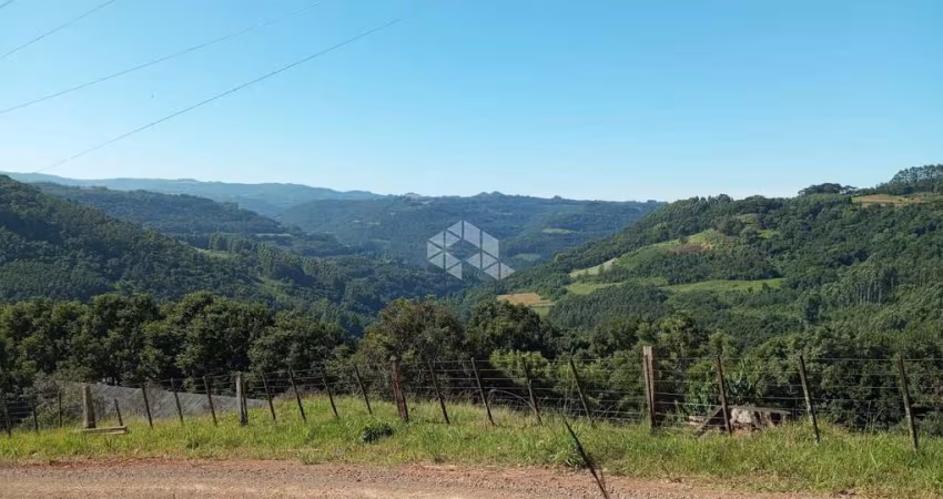 Chácara de 8000m² no interior de Nova Petrópolis no distrito de Pinhal Alto, serra gaúcha.
