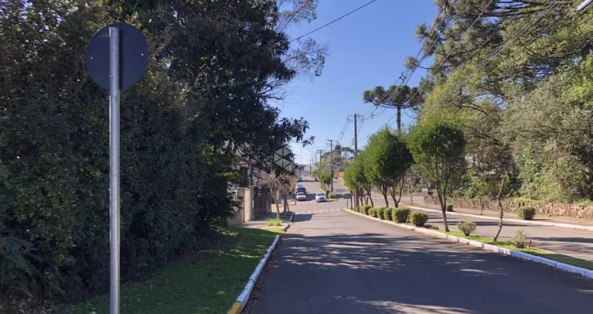Amplo terreno de esquina no Logradouro.