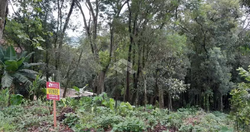 Excelente terreno em Picada Café. Ótima oportunidade de negócio e investimento.